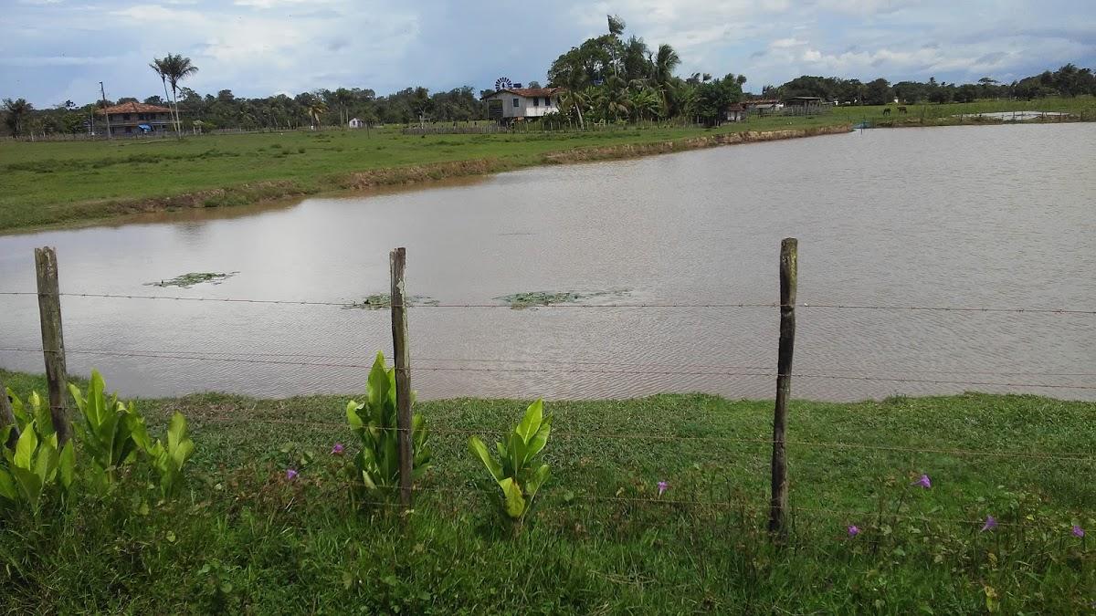 Como E Porqu Registrar Uma Marca Em Cachoeira Do Arari Pa Utopia